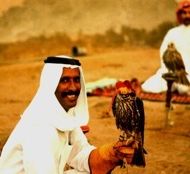 Arab and falcon.jpg